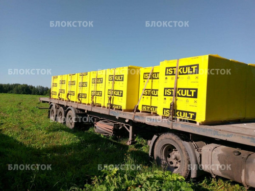 Пеноблоки Istkult D600 625х250х250 стеновые